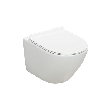 Унитаз подвесной SOLE "PANDORA-2" БЕЗОБОДКОВЫЙ сиденье МИКРОЛИФТ