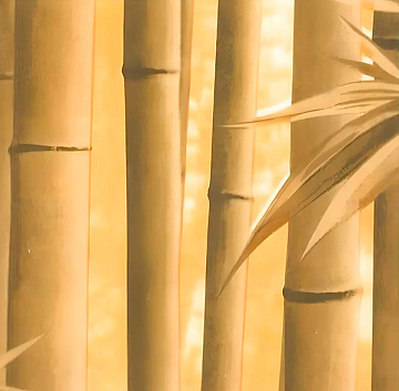 Пленка самоклеящаяся D&B 09-1В/45см Бамбук бежевый