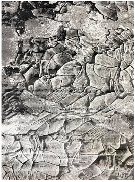Ковер 2*3 Бостон 39615-65