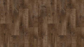 Линолеум Tarkett 3м Гладиатор Саратога 3