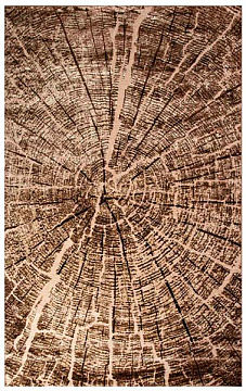 Ковер 1,6*2,3 Джелато 3822/с2