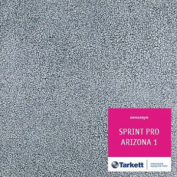 Линолеум Tarkett 4м SPRINT PRO АРИЗОНА 1