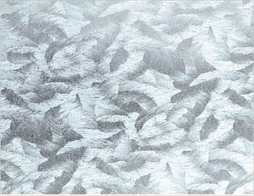 P13(витраж листья) DB67.5см/8м ХИТ*