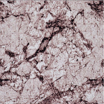 Дорожка 1м ПРИНТ 1827/а2/100