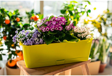 Балконный ящик 60см Прованс 9,5л фисташка 5PL0508
