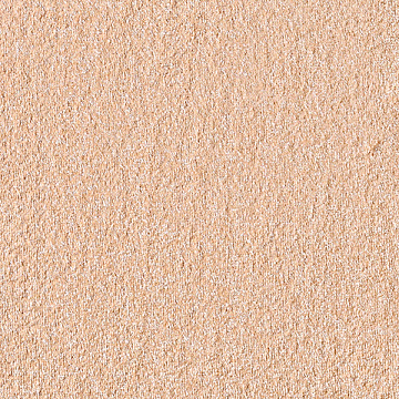 Напольное покрытие 4м Palmyra New 2010