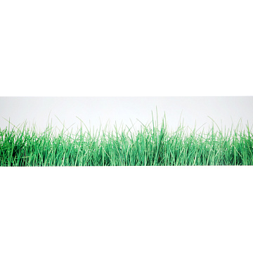 Кухонный фартук ПВХ Трава (600х2000х1,5мм)