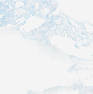 Пленка самоклеящаяся D&B 3813 90 см/8 м мрамор светло-голубой