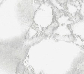 Пленка самоклеящаяся D&B 3814 45 см/8 м светло-серая